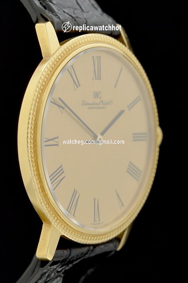 IWC Mens watch Unisex Manual winding Yellow gold 2006 2