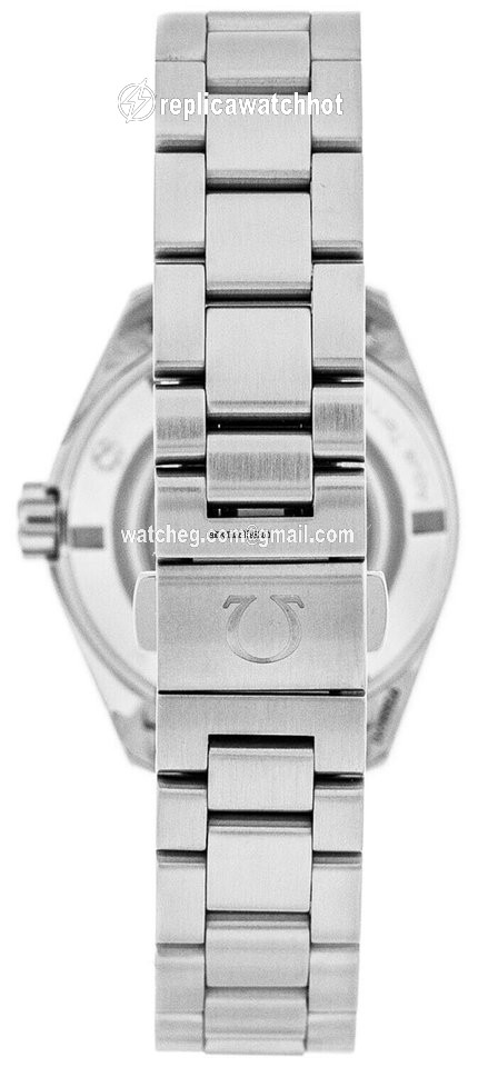 Omega Seamaster Aqua Terra Womens watch Quartz Steel 231.10.30.61.55.001 2