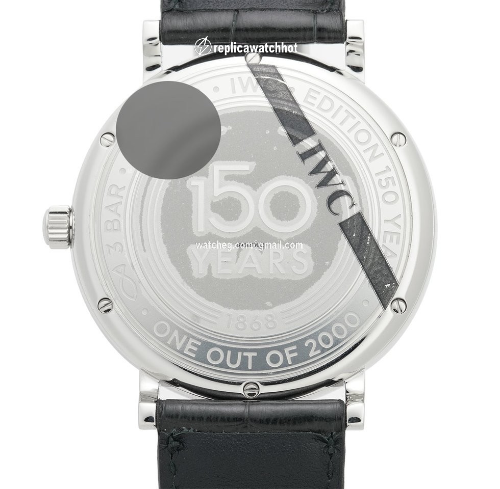 IWC Portofino Automatic Automatic Steel IW356518 2