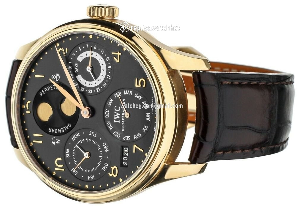 IWC Portuguese Perpetual Calendar Mens watch Unisex Automatic Rose gold IW502119 2