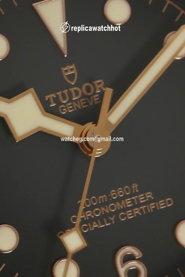 Tudor Black Bay Bronze Mens watch Unisex Automatic Bronze M79250BA-0001 2
