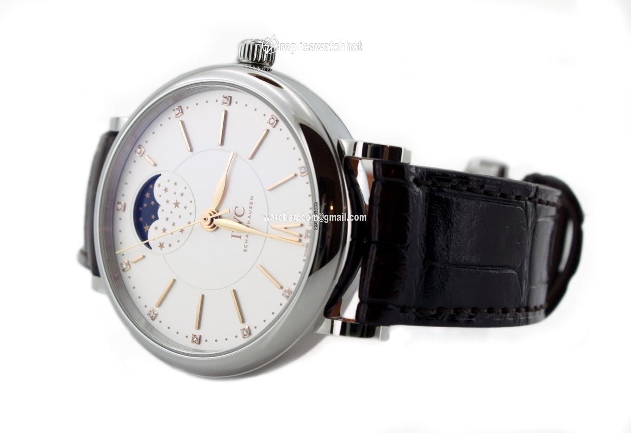 IWC Portofino Automatic Mens watch Unisex Automatic Steel IW459011 2