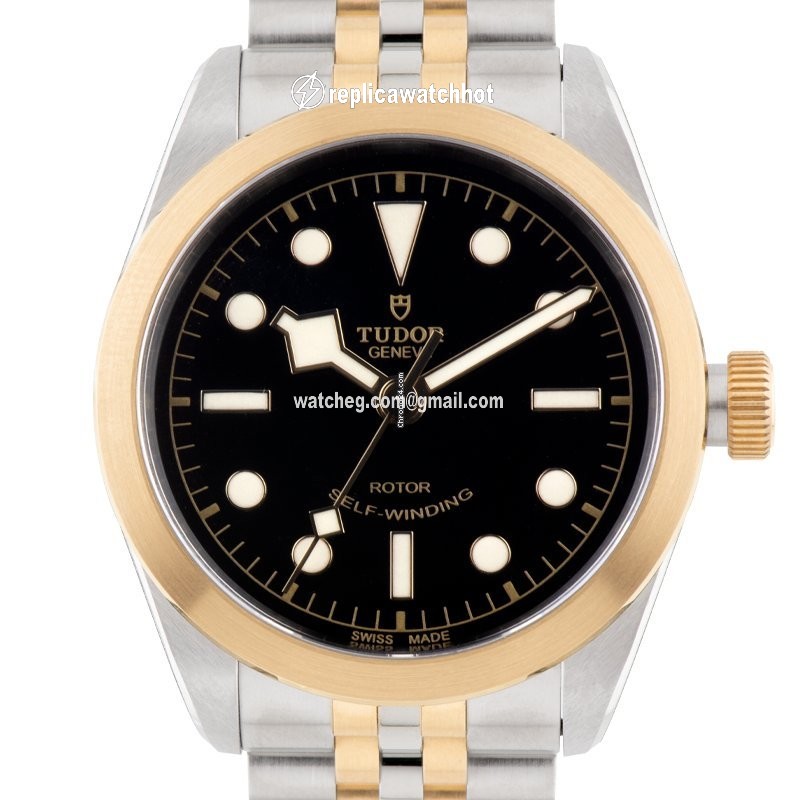 Tudor Mens watch Unisex Automatic Gold Steel M79503-0001 2