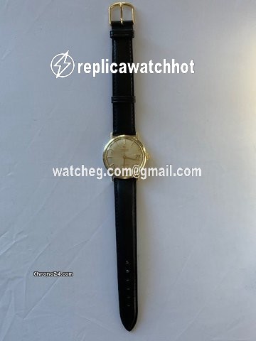 Omega Seamaster Mens watch Unisex Automatic Gold Steel 14770- 61- SC 2