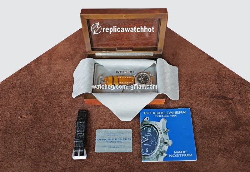 Panerai Mare Nostrum Steel PAM 008 2