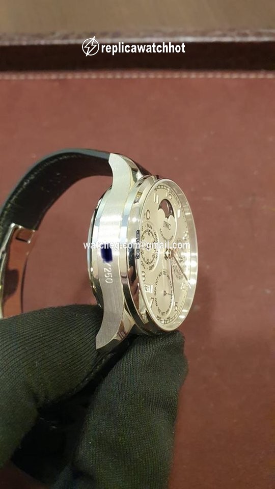 IWC Portuguese Perpetual Calendar Mens watch Unisex Automatic Platinum IW502305 2