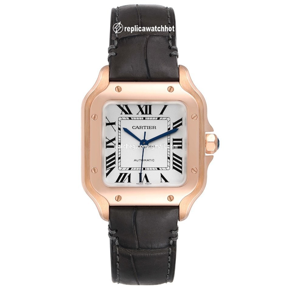 Cartier Santos Mens watch Unisex Automatic WGSA0012 2