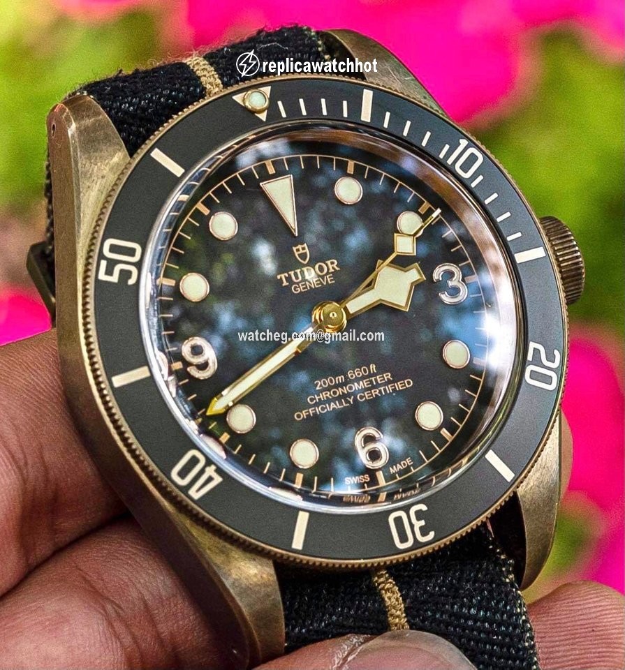 Tudor Black Bay Bronze Mens watch Unisex Automatic Bronze M79250BA 2