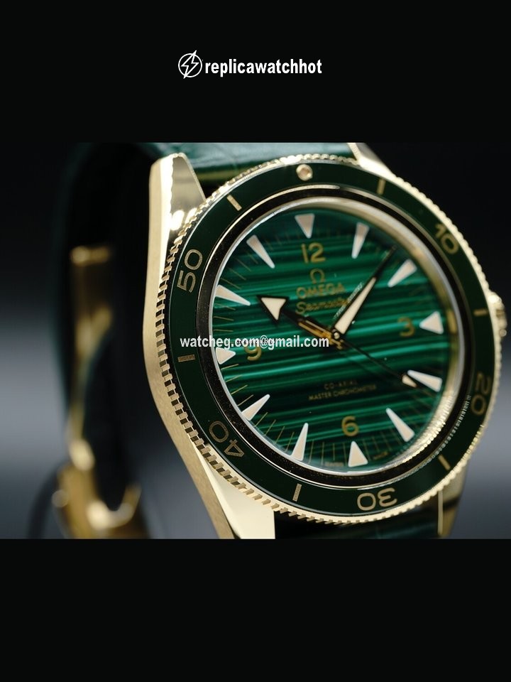 Omega Seamaster Mens watch Unisex Automatic Yellow gold 234.63.41.21.99.001 2