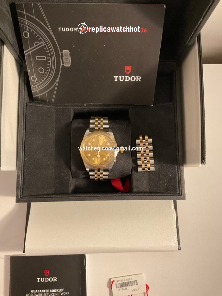 Tudor Mens watch Unisex Automatic Gold Steel 79503-0002 2