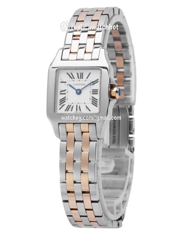 Cartier Santos Demoiselle Mens watch Unisex Quartz Steel W25066Z6 2698 2