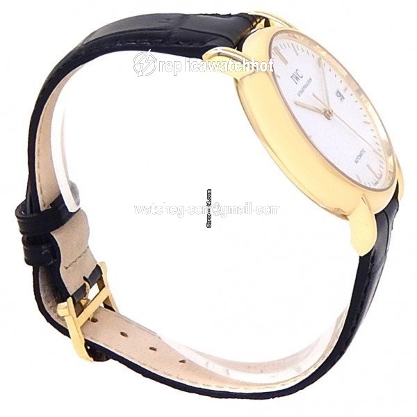IWC Portofino Automatic Mens watch Unisex Automatic Yellow gold IW353314 2