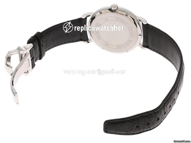 IWC Portofino Automatic Mens watch Unisex Automatic Steel IW356308 2