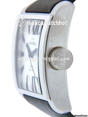 TW Steel Mens watch Unisex Quartz Steel CE3002 2