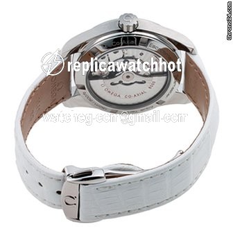 Omega Seamaster Aqua Terra Mens watch Unisex Automatic Steel 231.13.39.21.54.001 2