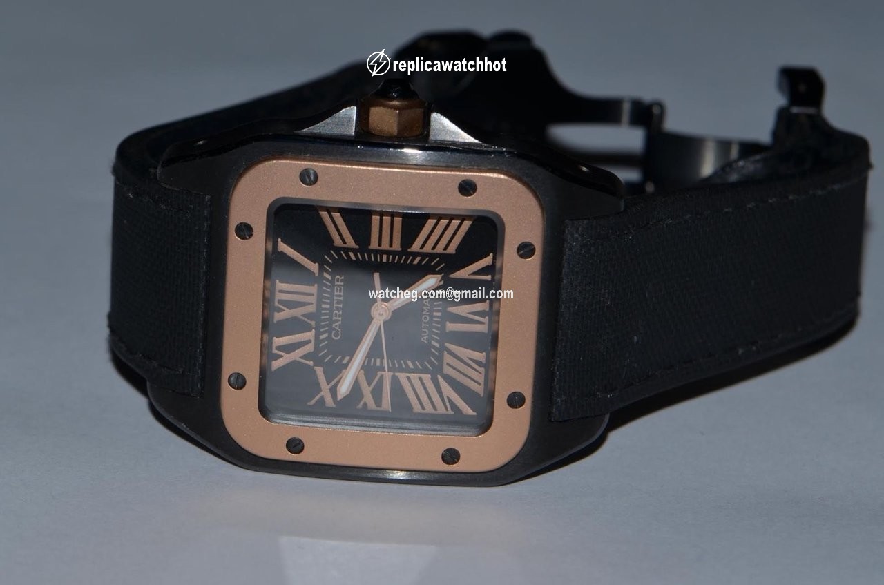 Cartier Santos 100 Mens watch Unisex Automatic Steel W2020007 2