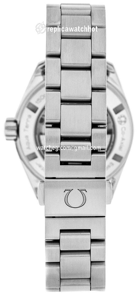 Omega Seamaster Aqua Terra Automatic Steel 231.10.30.20.06.001 2