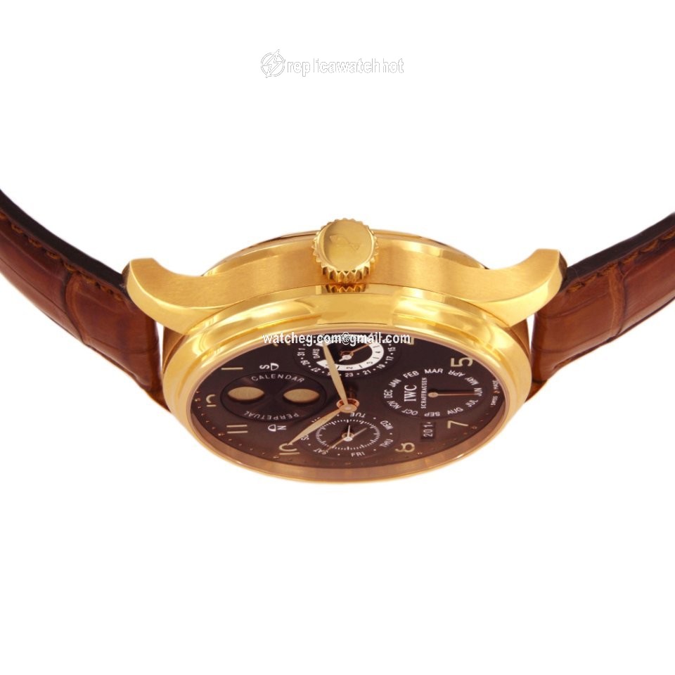IWC Portuguese Perpetual Calendar Mens watch Unisex Automatic Rose gold IW5021-03 3