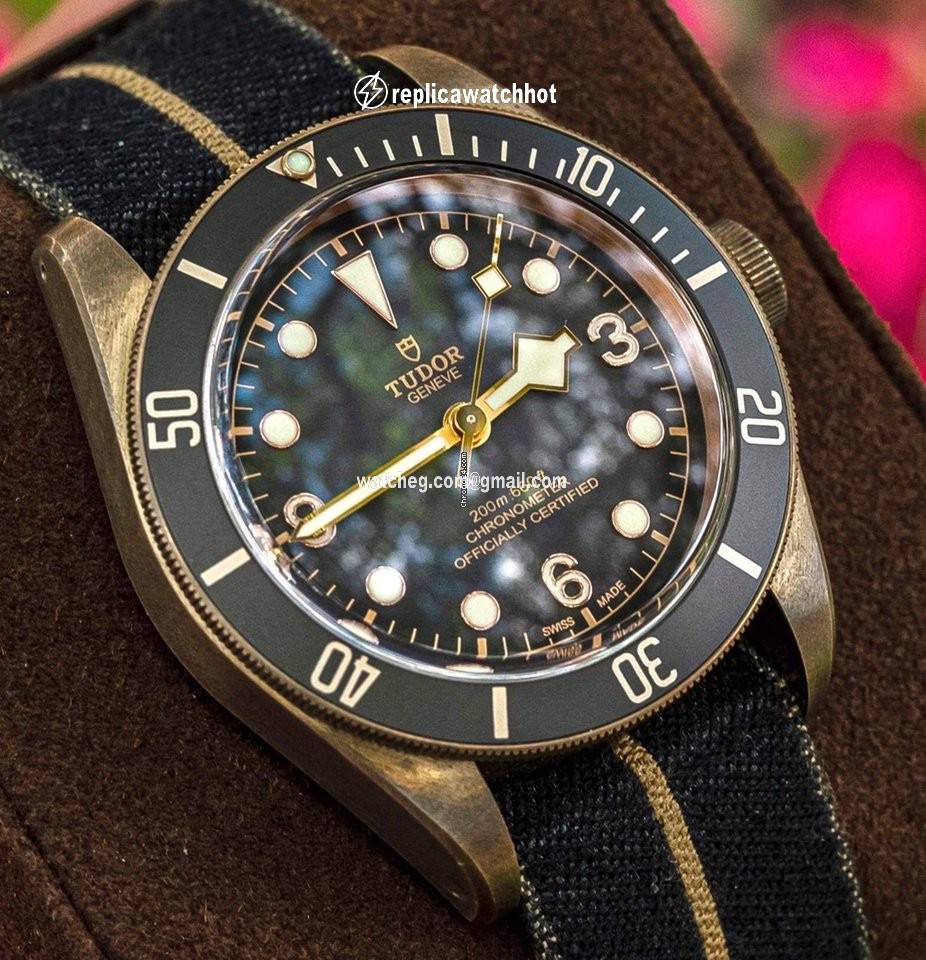 Tudor Black Bay Bronze Mens watch Unisex Automatic Bronze M79250BA 3