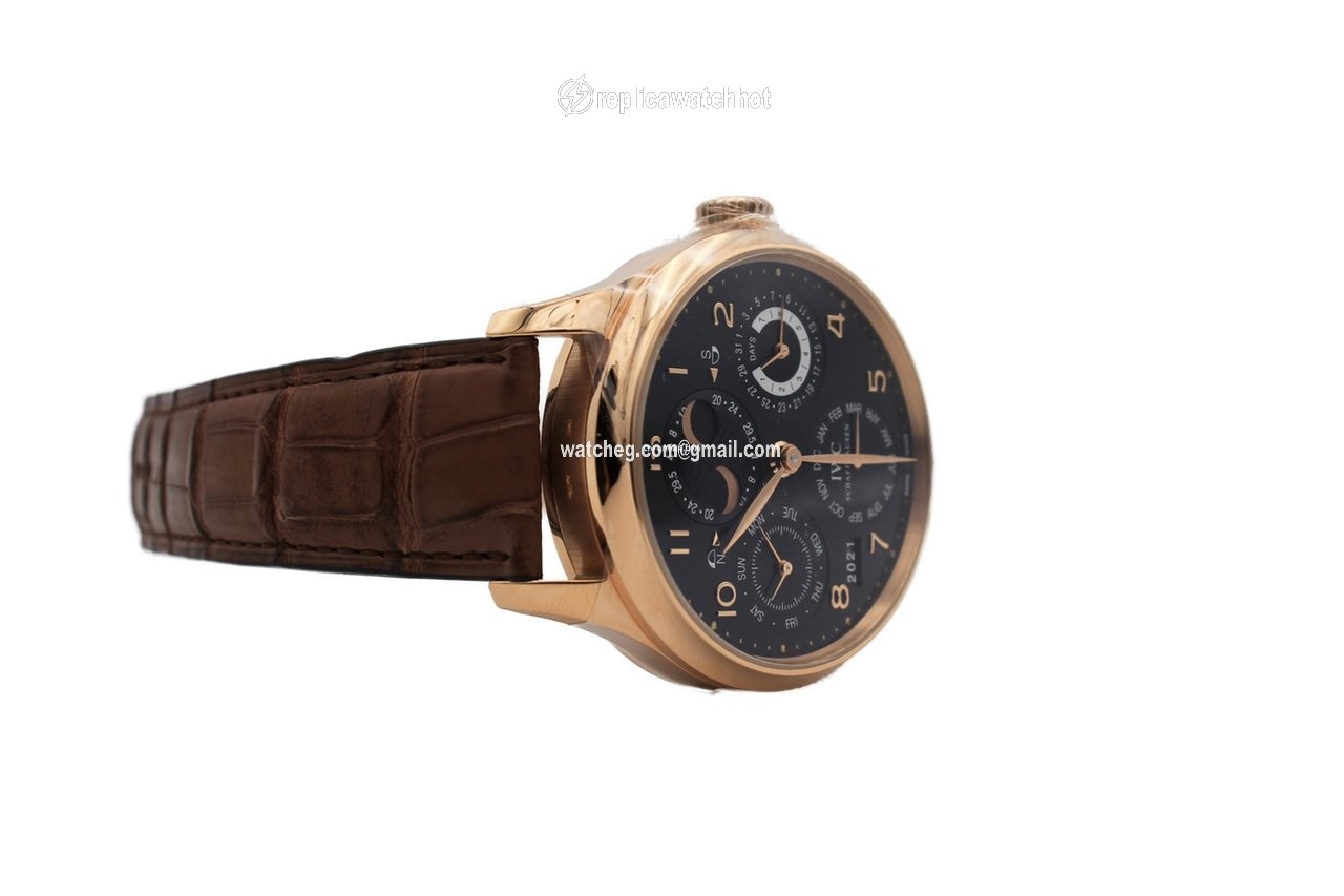 IWC Portuguese Perpetual Calendar Mens watch Unisex Automatic Rose gold IW503202 3