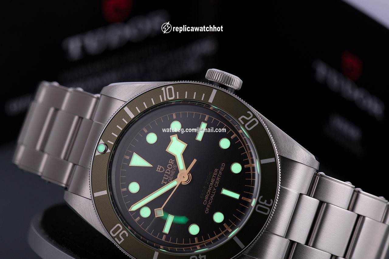 Tudor Black Bay Automatic Steel 79230G 3