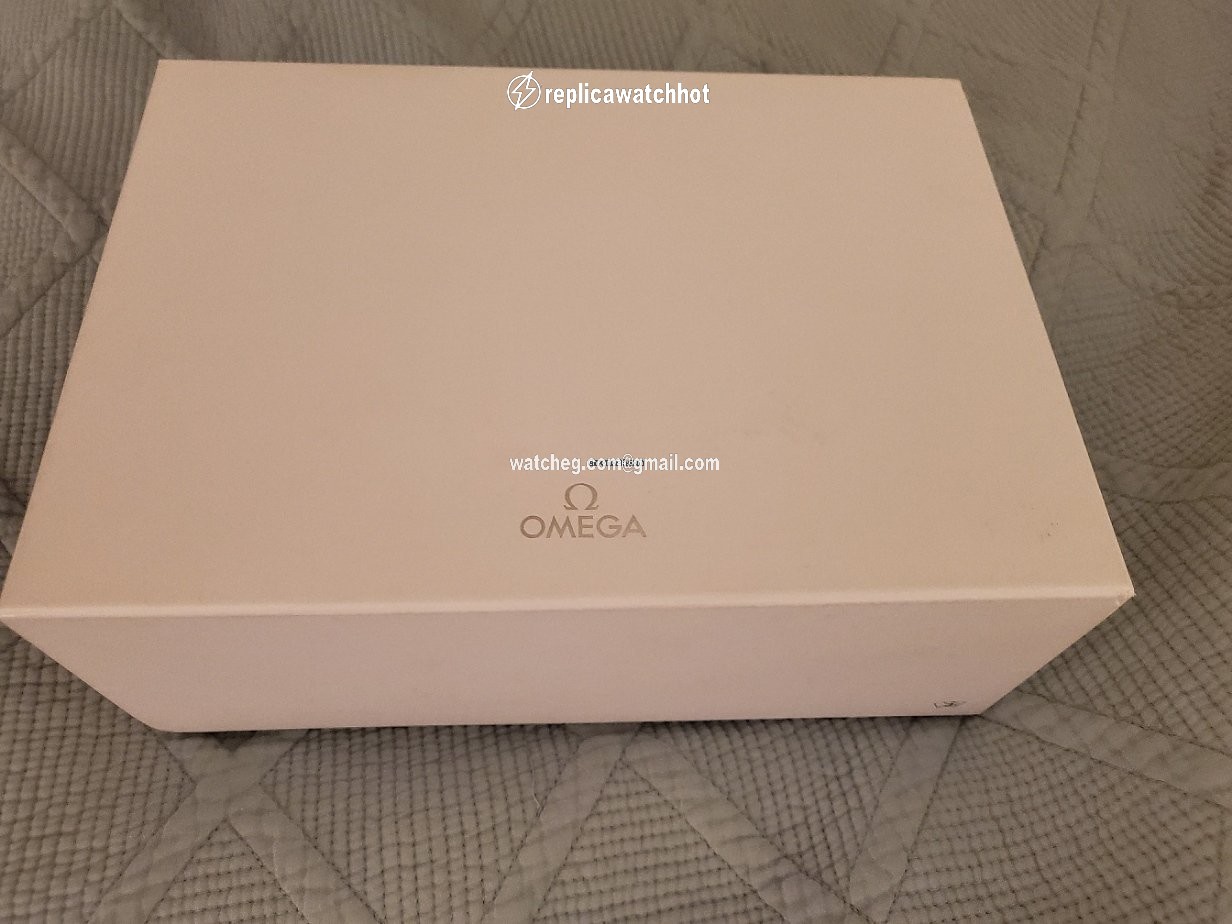 Omega Seamaster Aqua Terra Mens watch Unisex Automatic Steel 220.10.38.20.03.001 3