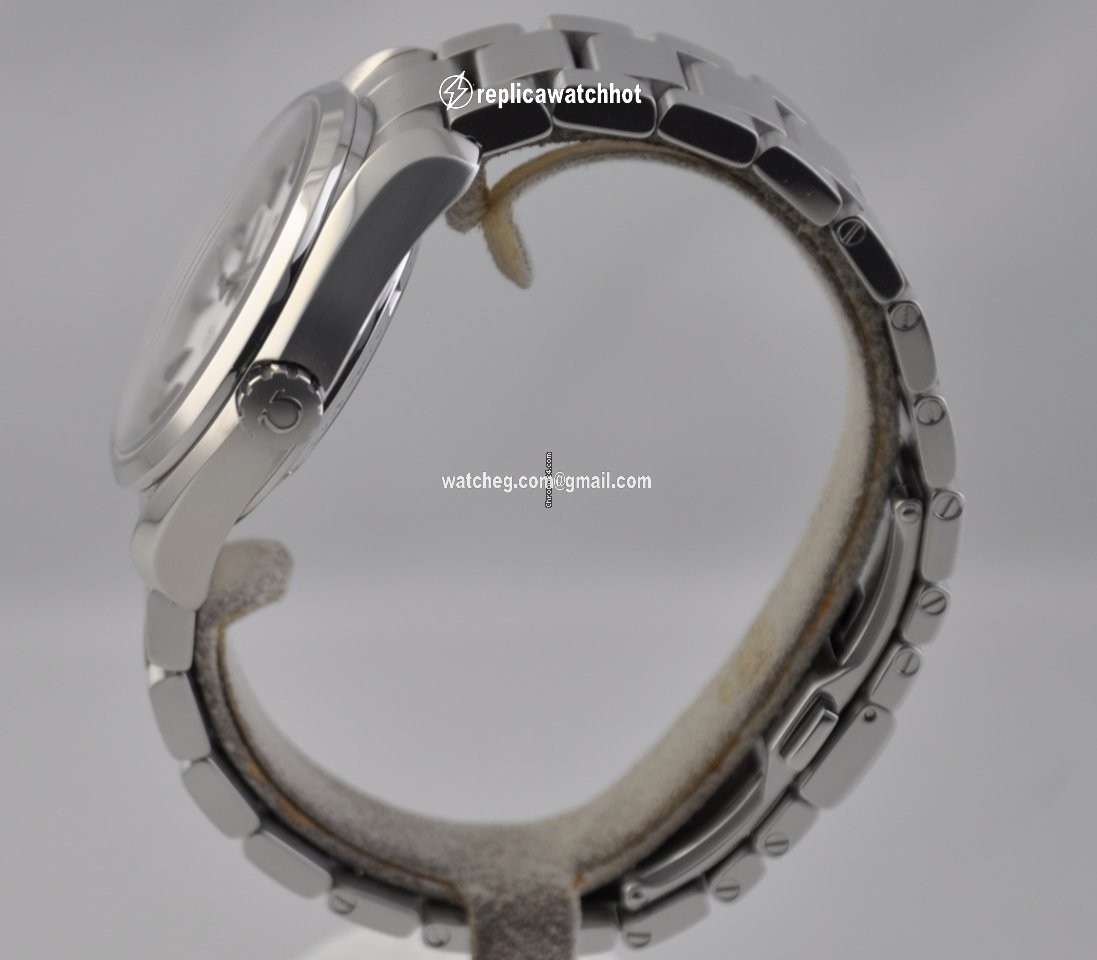 Omega Seamaster Aqua Terra Mens watch Unisex Automatic Steel 231.10.39.21.54.001 3