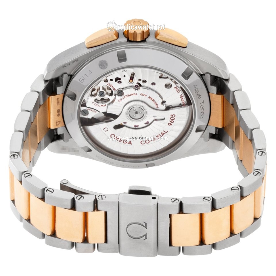 Omega Seamaster Aqua Terra Mens watch Unisex Automatic 231.20.43.52.06.001 3