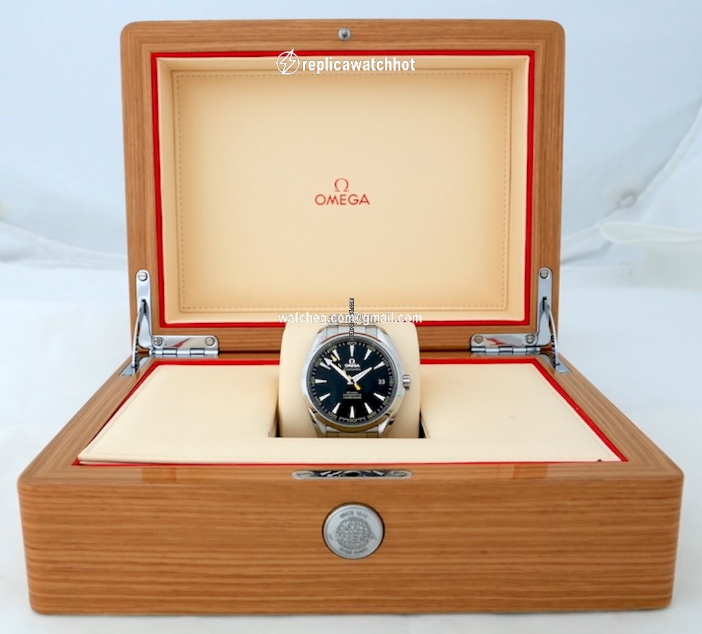 Omega Seamaster Aqua Terra Mens watch Unisex Automatic Steel 231.10.42.21.01.002 3