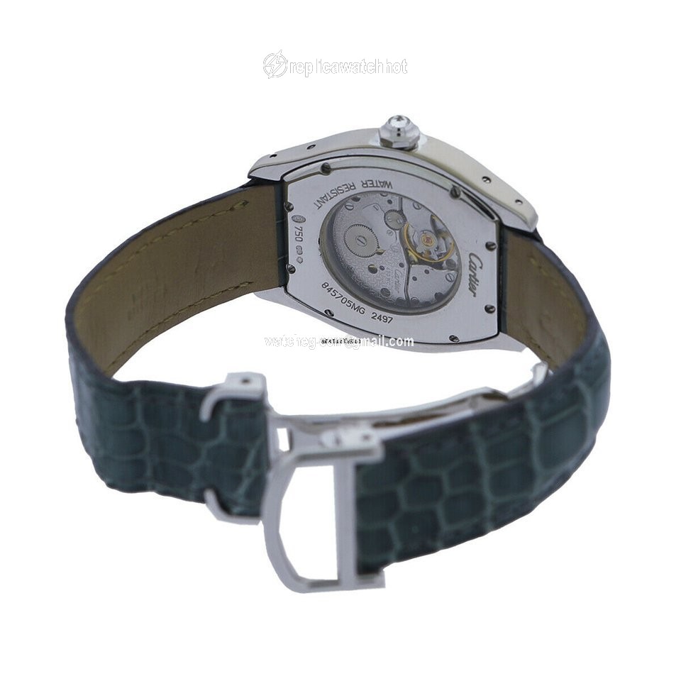 Cartier Tortue Mens watch Unisex Automatic White gold 2497 3