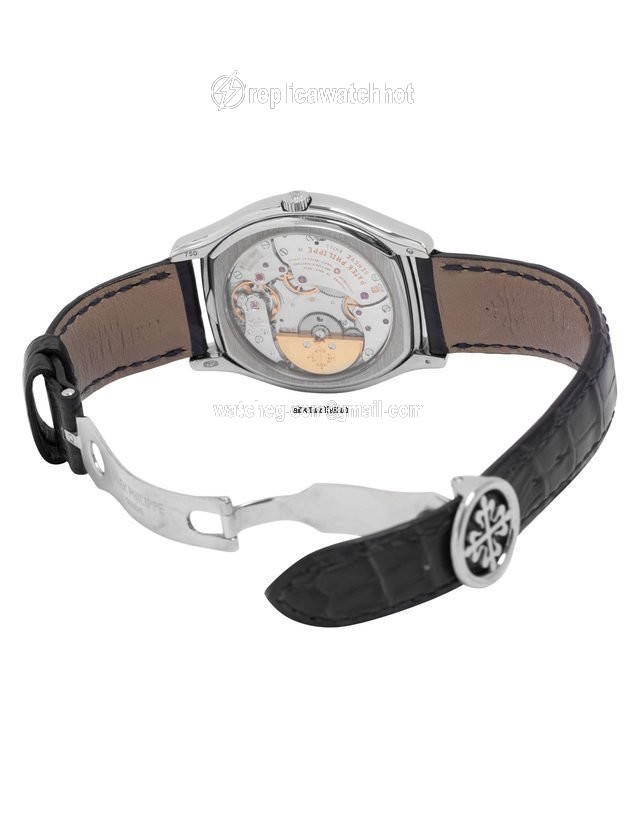 Patek Philippe Perpetual Calendar Mens watch Unisex Automatic White gold 5040G-016 3