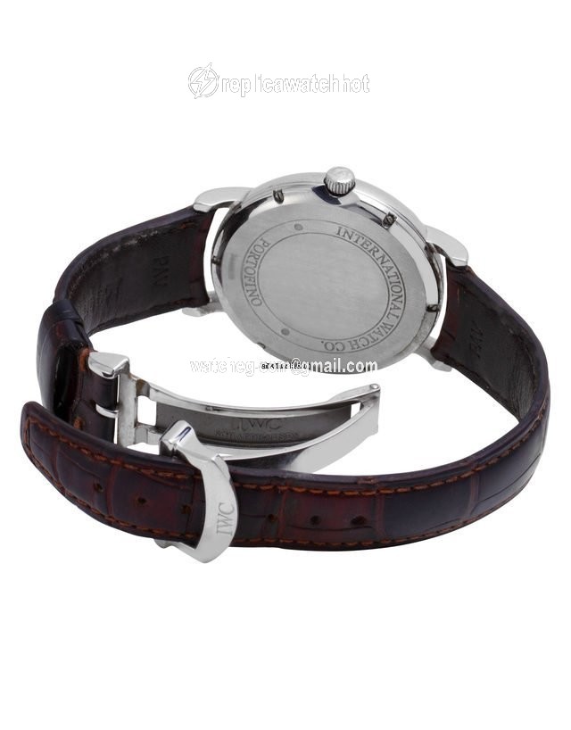 IWC Portofino Automatic Mens watch Unisex Automatic Steel IW356307 3