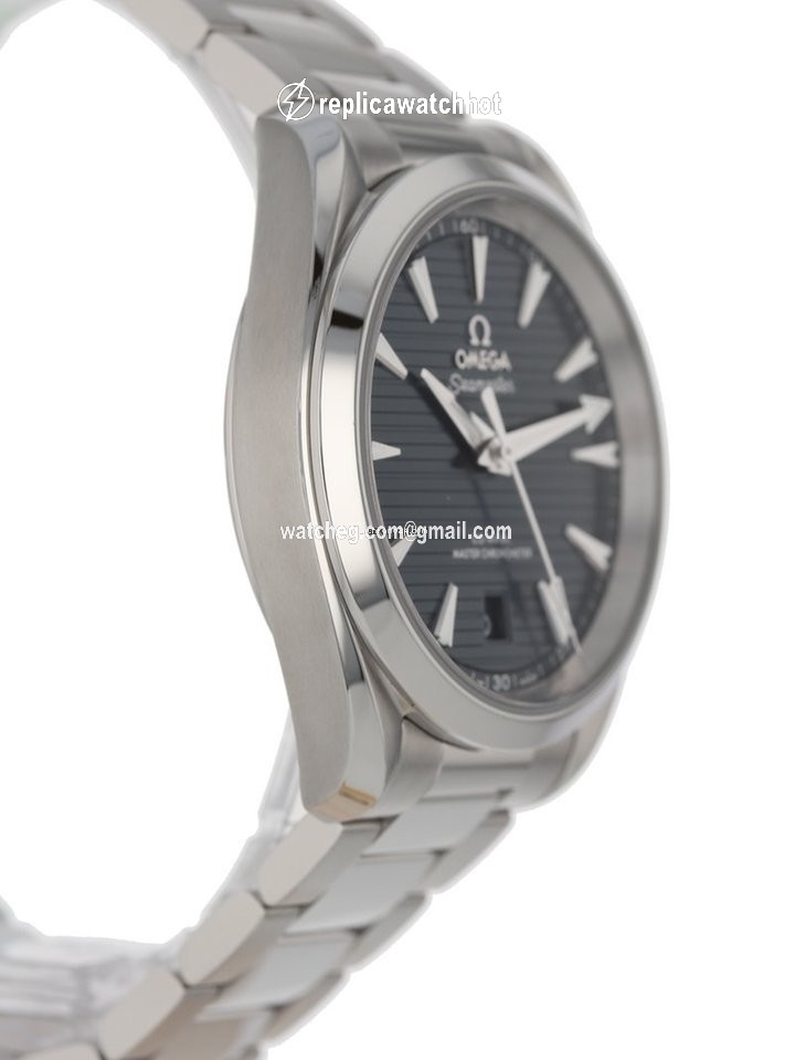 Omega Seamaster Aqua Terra Steel 6220.10.41.21.03.001 3
