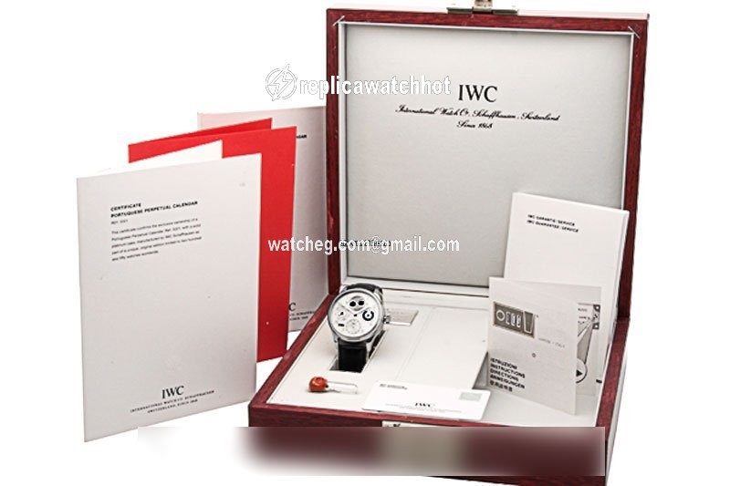 IWC Portuguese Perpetual Calendar Automatic Platinum 502111 3