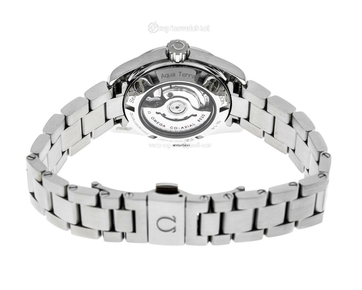 Omega Seamaster Aqua Terra Automatic Steel 231.10.30.20.06.001 3