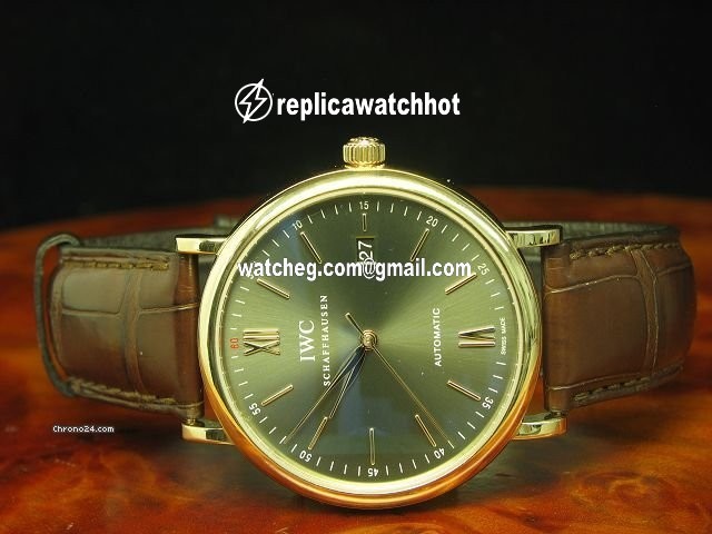 IWC Portofino Automatic Mens watch Unisex Automatic 3565  IW356504 4