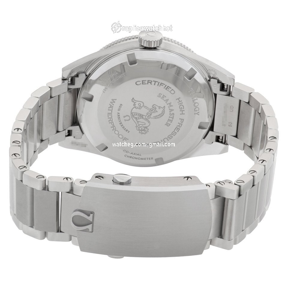 Omega Automatic Steel 234.10.39.20.01.002 4
