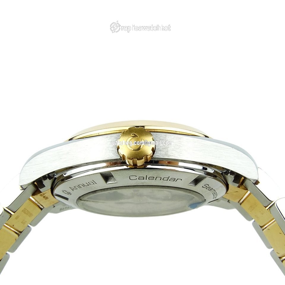 Omega Seamaster Aqua Terra Mens watch Unisex Automatic Gold Steel 231.20.43.22.46.002 4