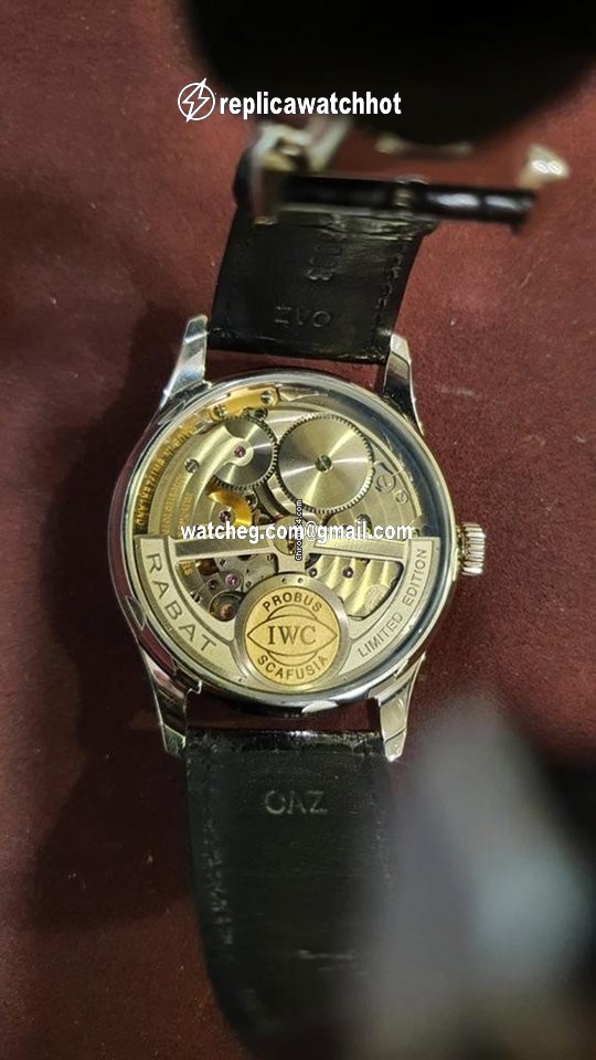 IWC Portuguese Perpetual Calendar Mens watch Unisex Automatic Platinum IW502305 4