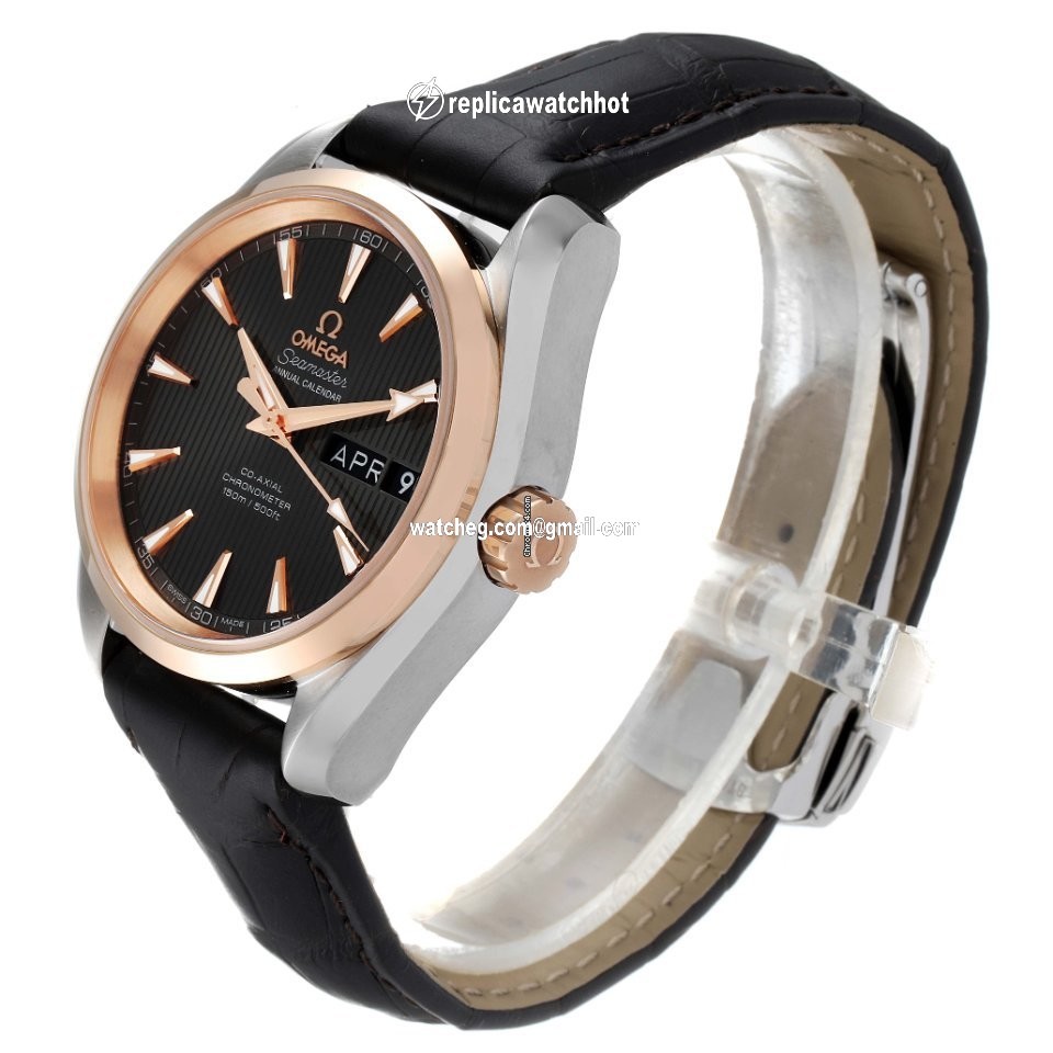 Omega Seamaster Aqua Terra Mens watch Unisex Automatic Gold Steel 231.23.39.22.06.001 4