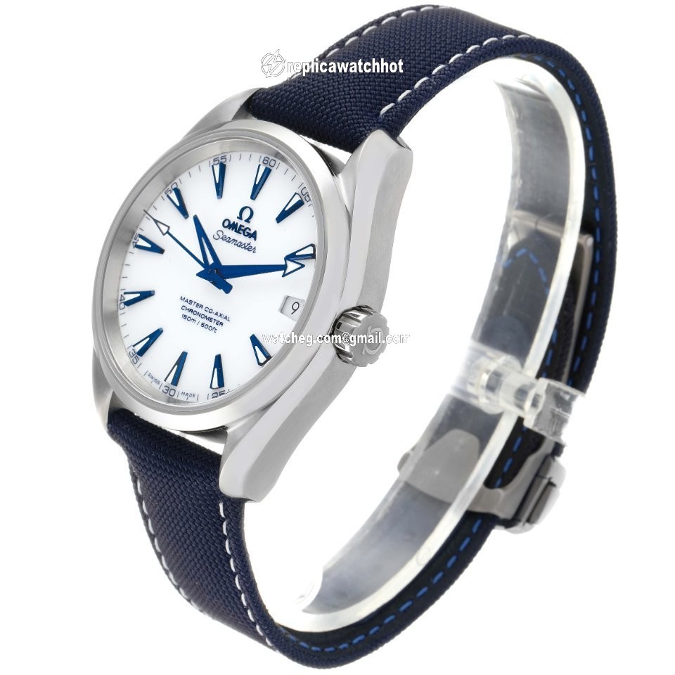 Omega Seamaster Aqua Terra Mens watch Unisex Automatic Titanium 231.92.39.21.04.001 4