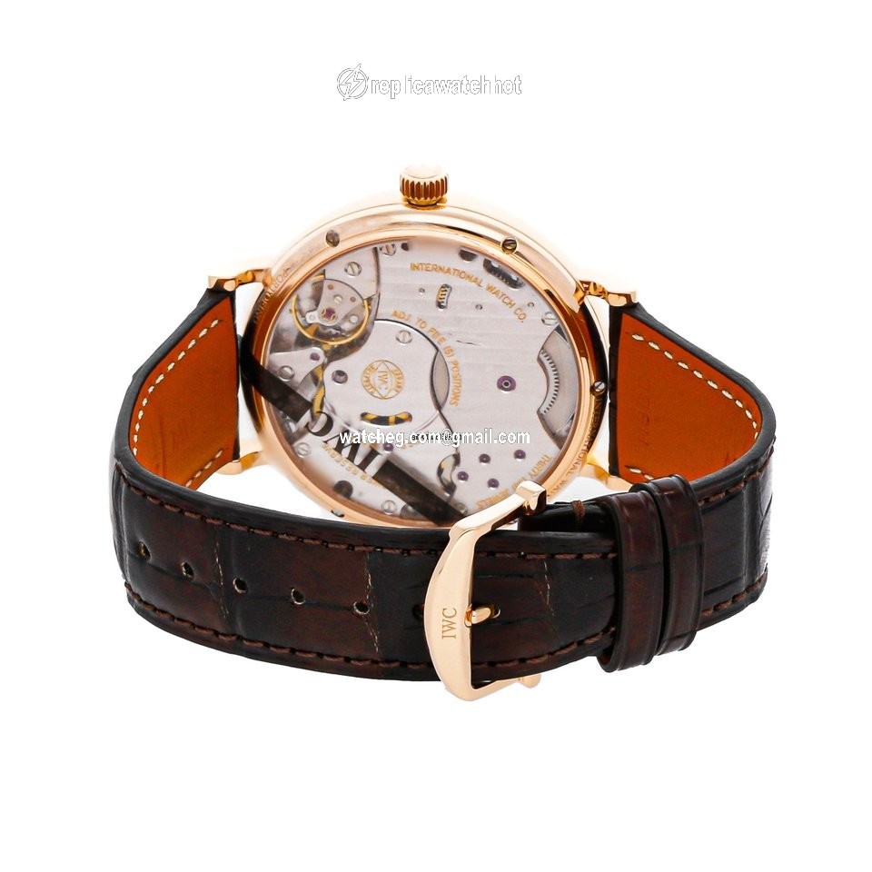 IWC Portofino Hand-Wound Mens watch Unisex Manual winding Rose gold IW5101-04 4