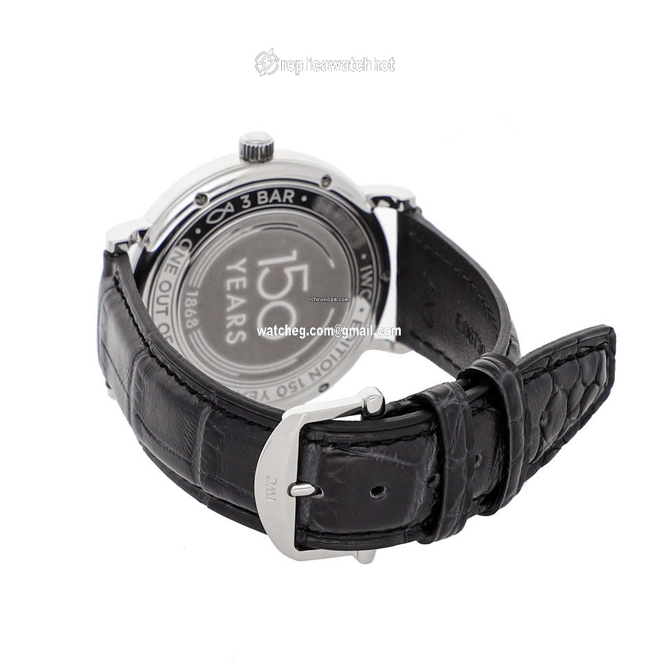 IWC Portofino Automatic Mens watch Unisex Automatic Steel IW3565-19 4