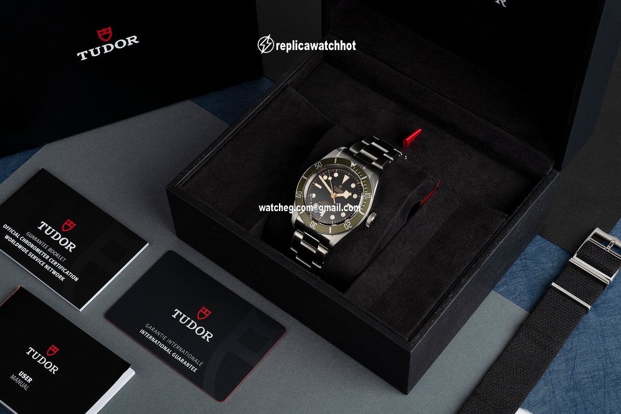 Tudor Black Bay Automatic Steel 79230G 4