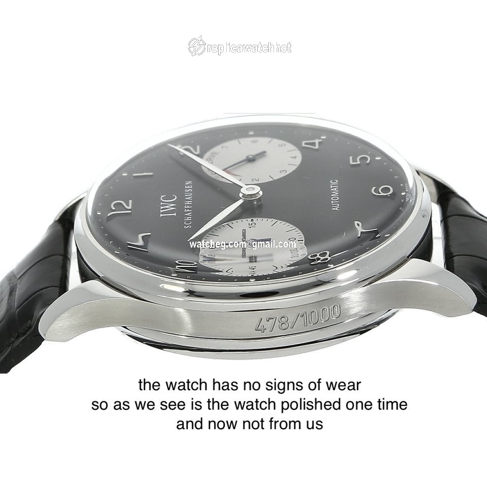IWC Portuguese Mens watch Unisex Automatic Steel IW5000 4