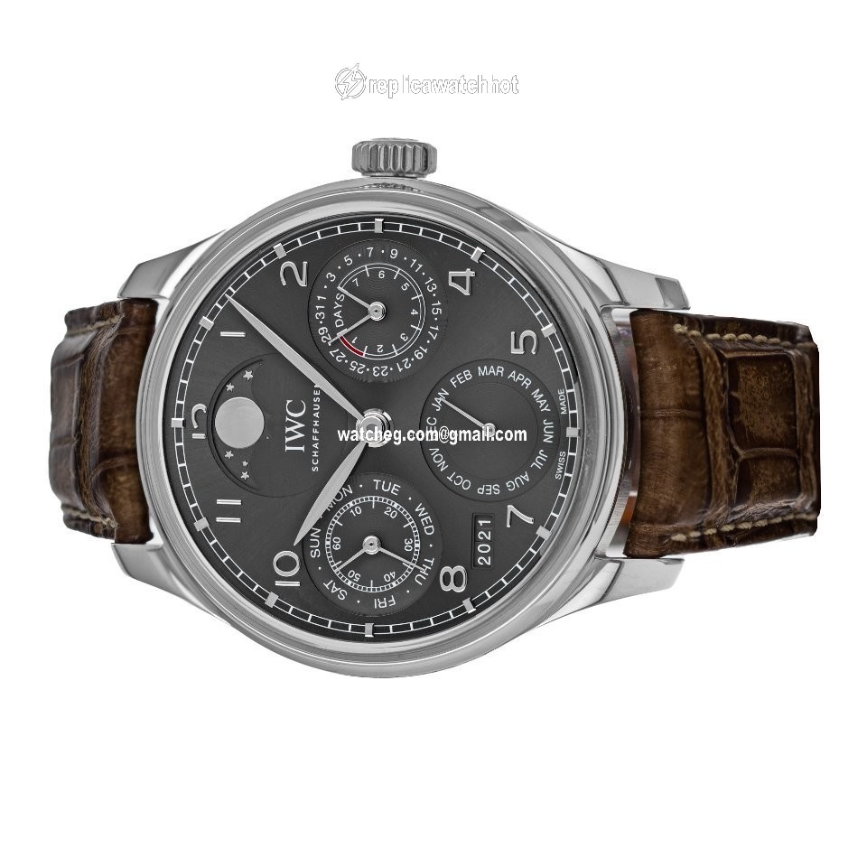 IWC Portuguese Perpetual Calendar Mens watch Unisex Automatic White gold IW503301 4
