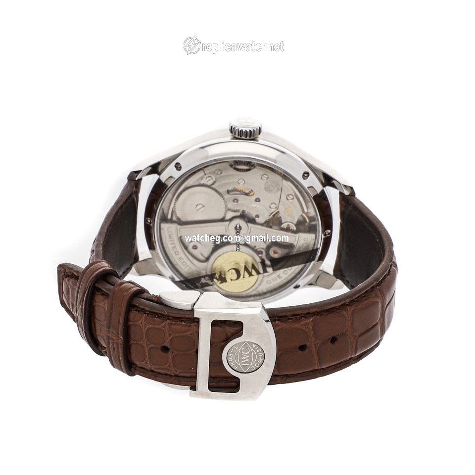 IWC Portuguese Perpetual Calendar Mens watch Unisex Automatic Steel IW5023-08 4