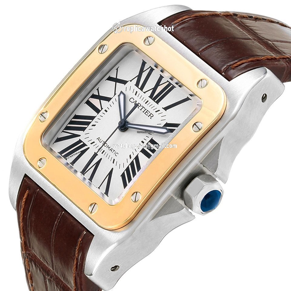 Cartier Santos 100 Mens watch Unisex Automatic Steel W20072X7 4