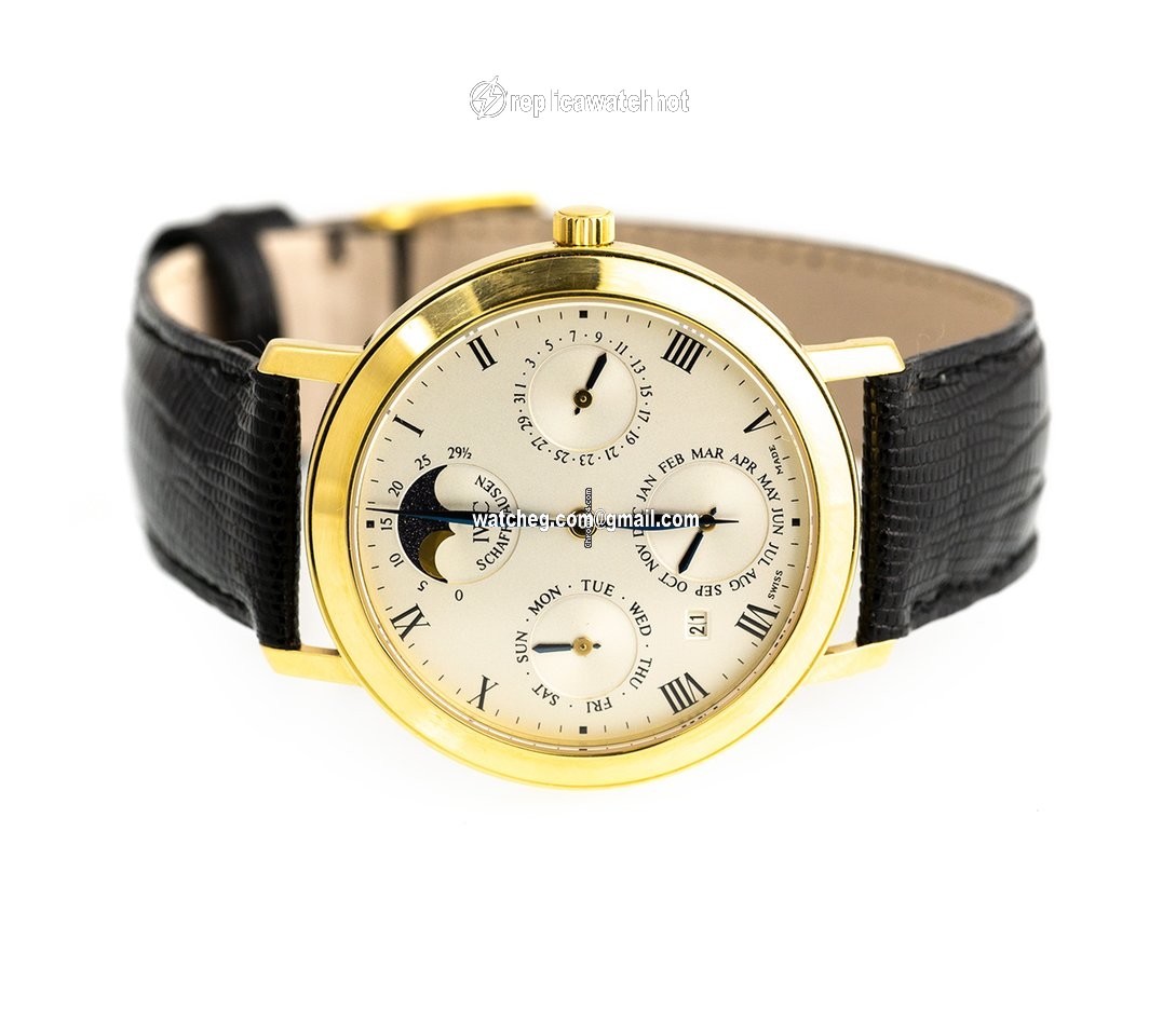 IWC Portofino Mens watch Unisex Manual winding Yellow gold IW2050 4