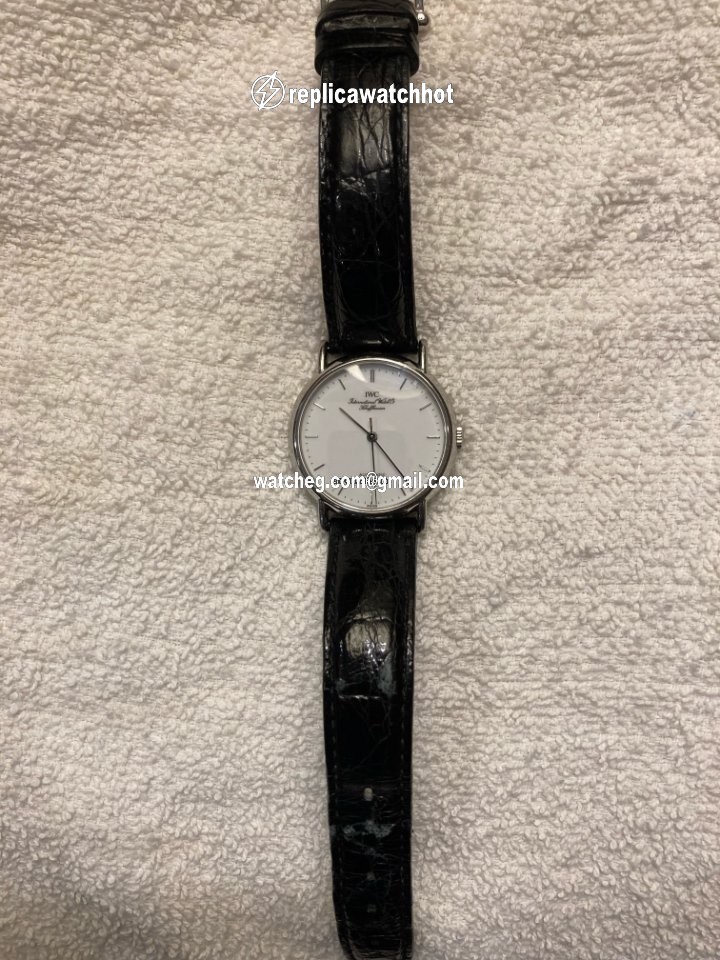 IWC Portofino Automatic Mens watch Unisex Automatic Steel IW351318 4